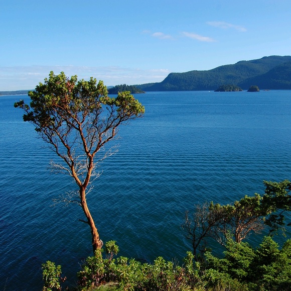 2nd Hand Wins...! - Picture 3 of 16